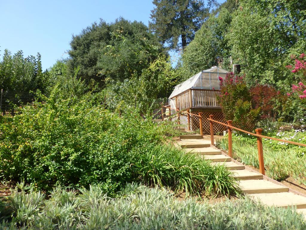 ホテル Madrona Manor ヒールズバーグ エクステリア 写真